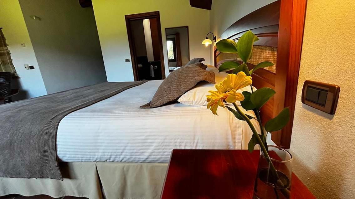 Hotel Pucon Green Park Exterior foto