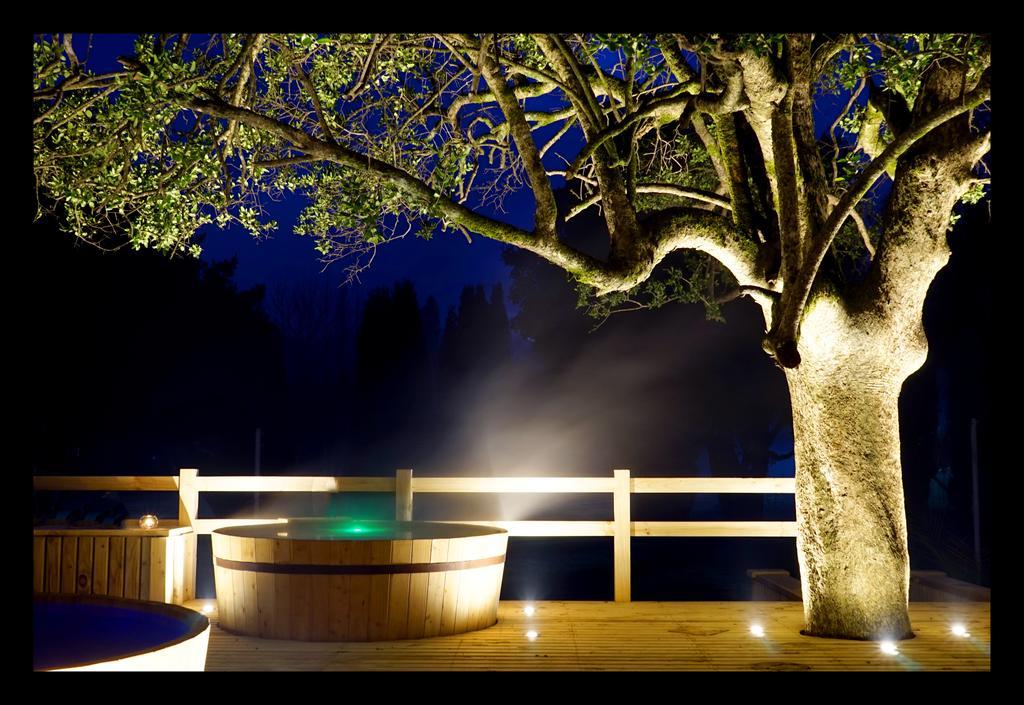 Hotel Pucon Green Park Exterior foto