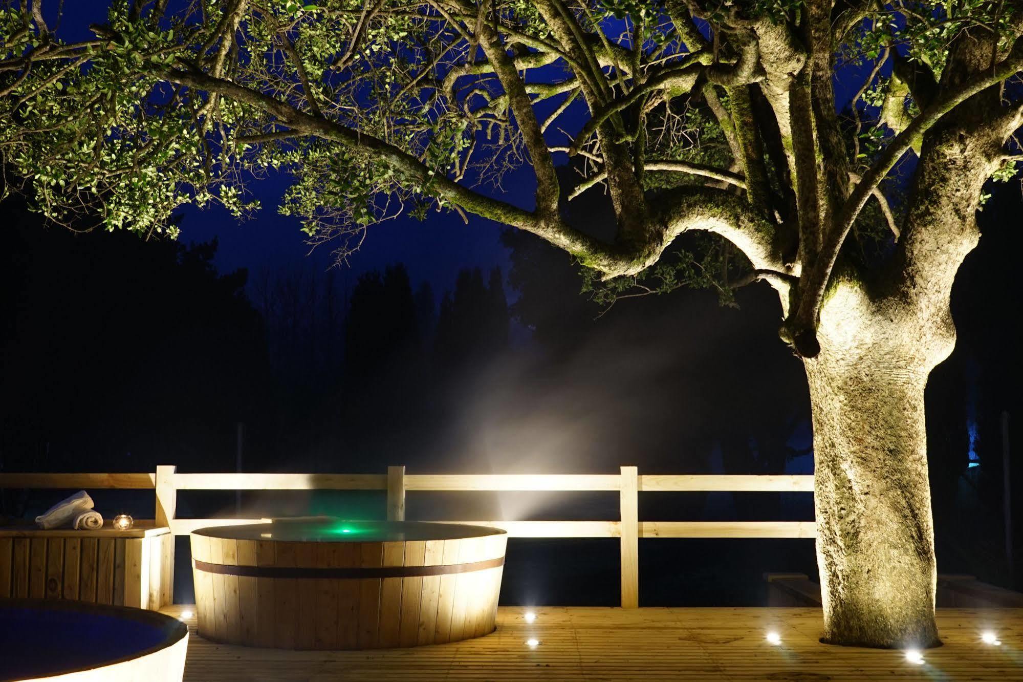 Hotel Pucon Green Park Exterior foto